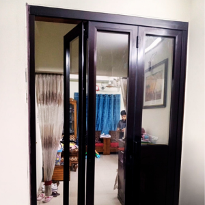 Dark Brown Folding Door for Living Room
