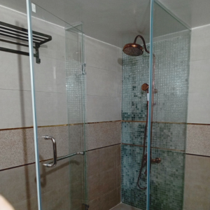 Simple Shower Partition